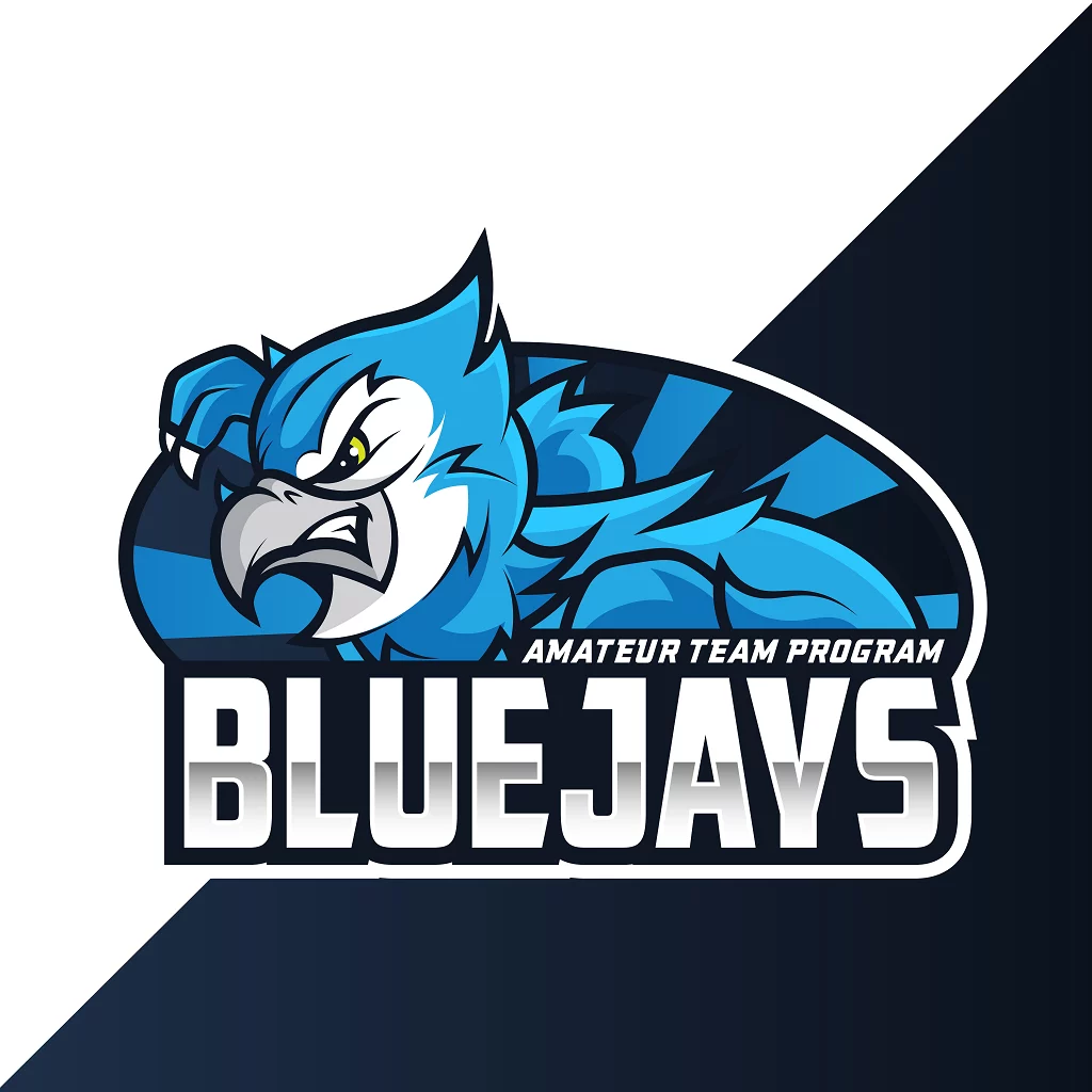 BLUEJAYS VertigoTeam