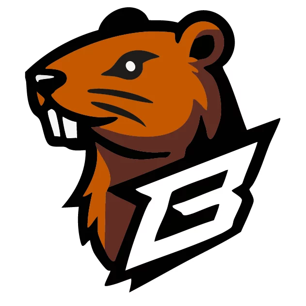 BÓBR Esports