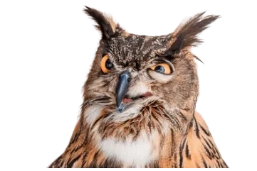 Wackelkontakt
