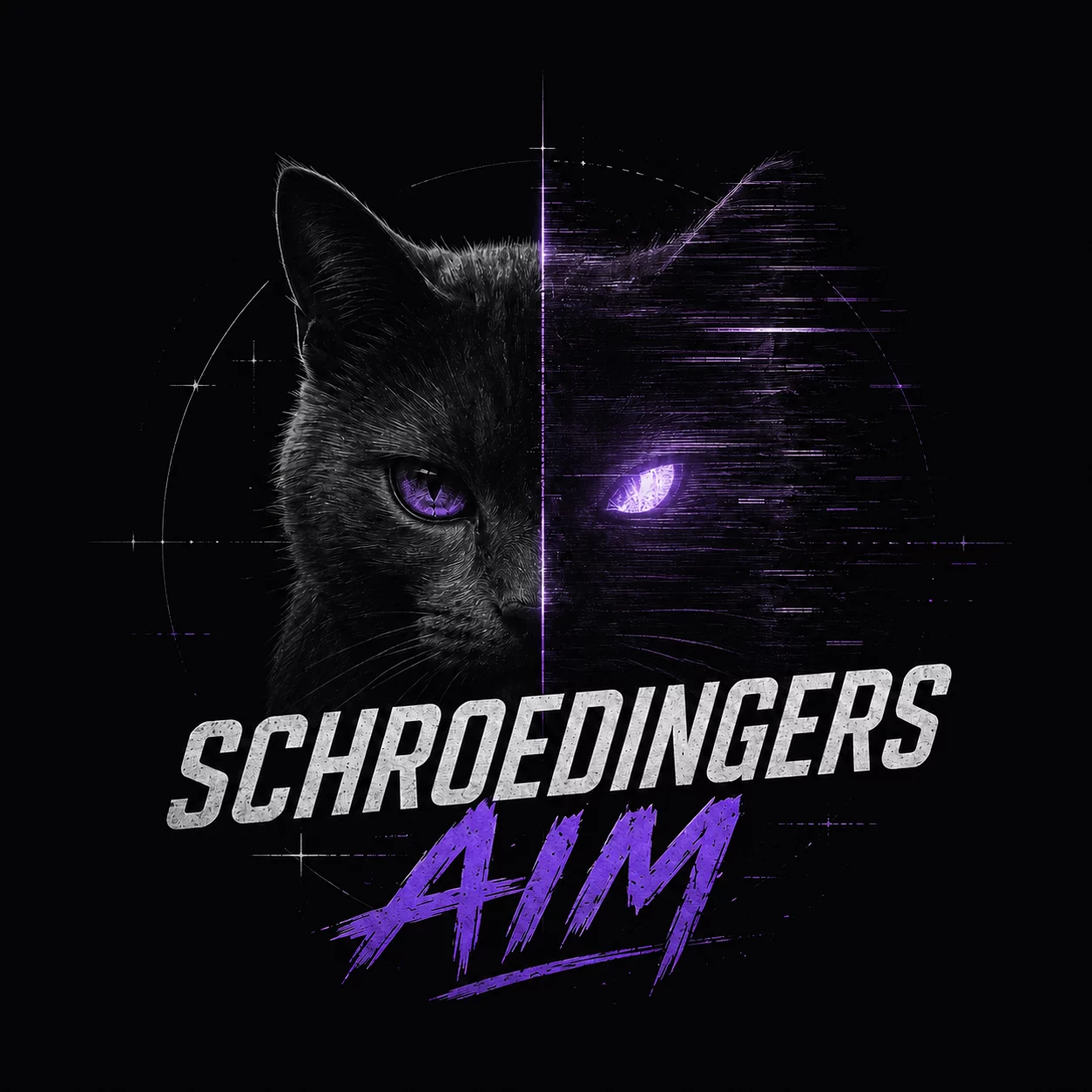 SCHROEDINGERS Aim