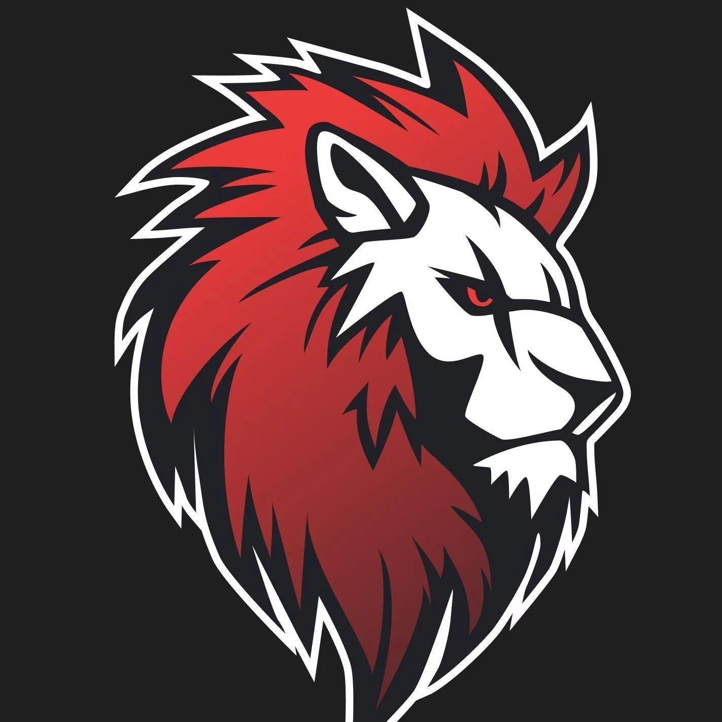 Leo Team