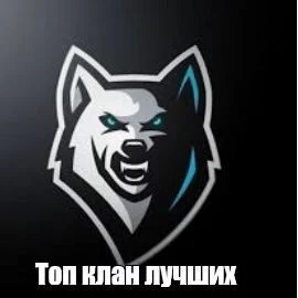 yandexlavka666