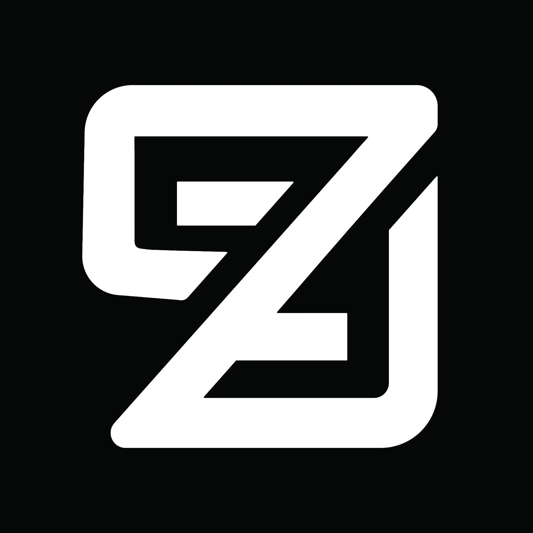 Seizer