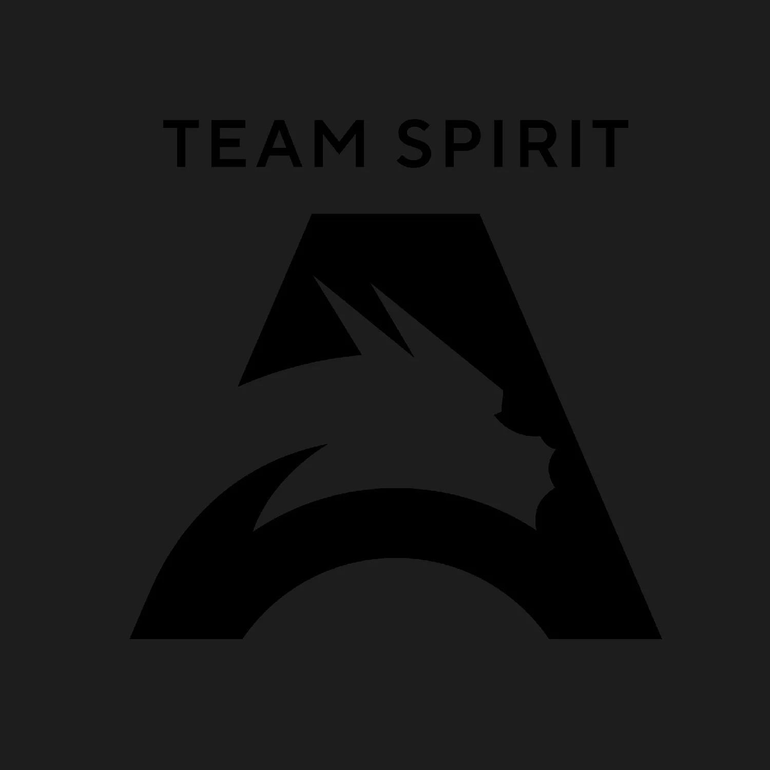 Team Spirit Academy