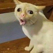 N0pE-