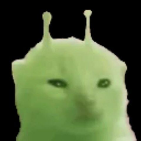 KapiVuitton
