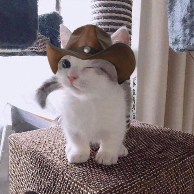 requiRe