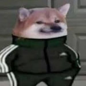 dhmad-