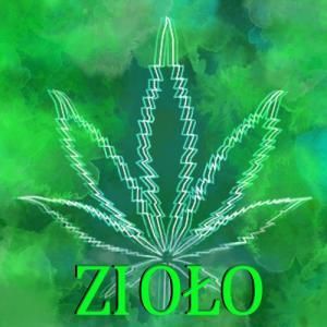 ZIELNlK