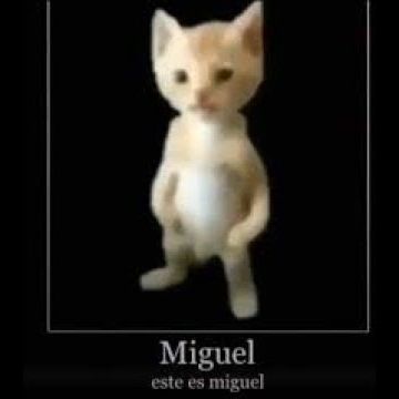 MipMarselo