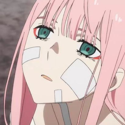 PUPA-9