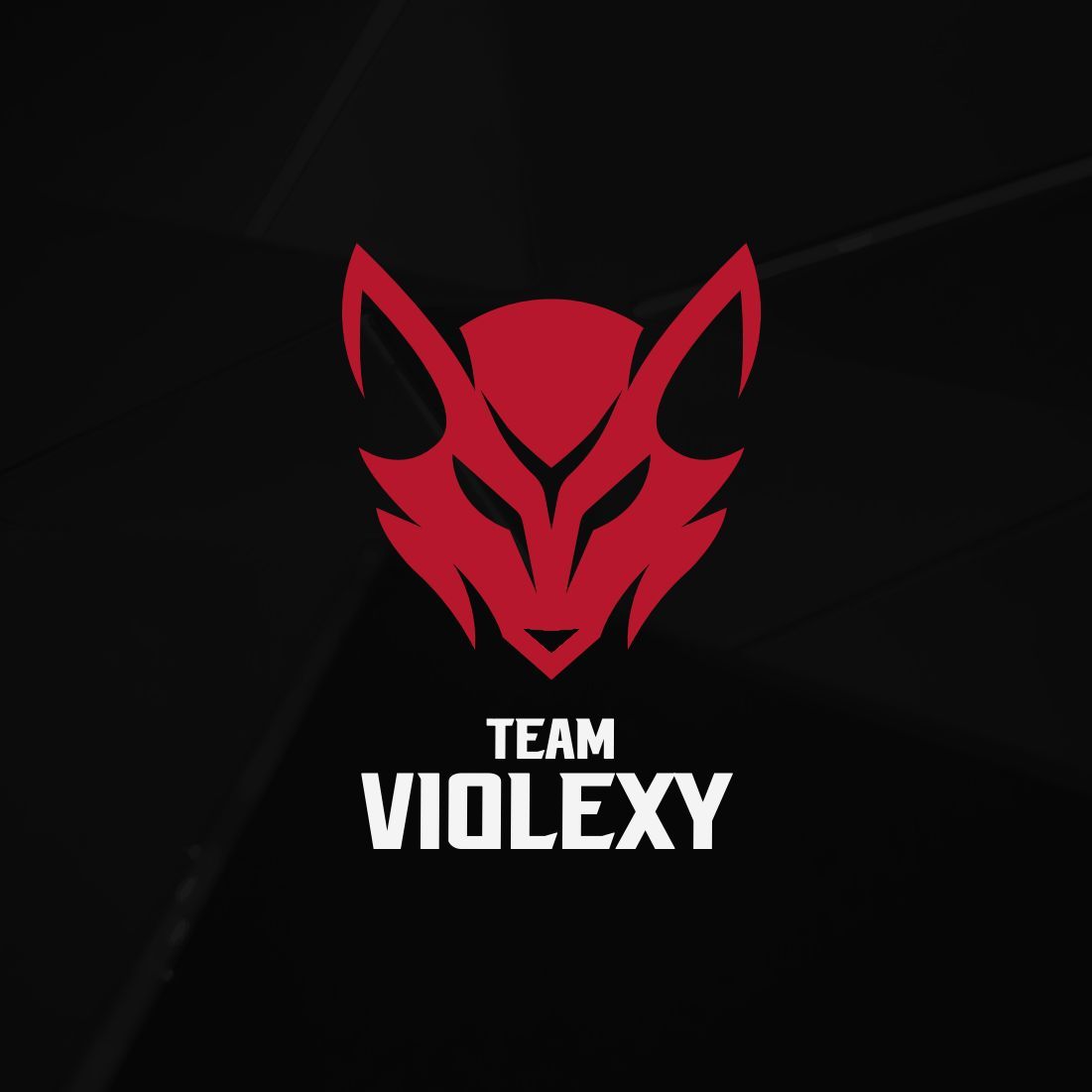 TEAM VIOLEXY