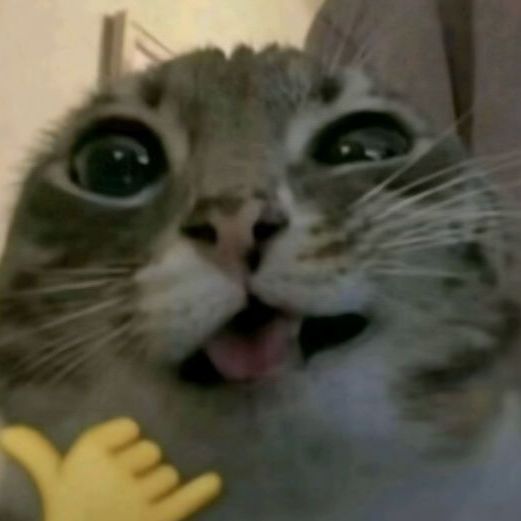 Katyabtw