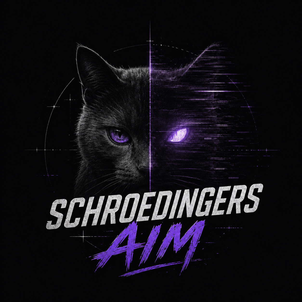 SCHROEDINGERS Aim