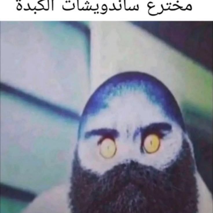 wellz333