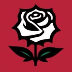 REDROSE