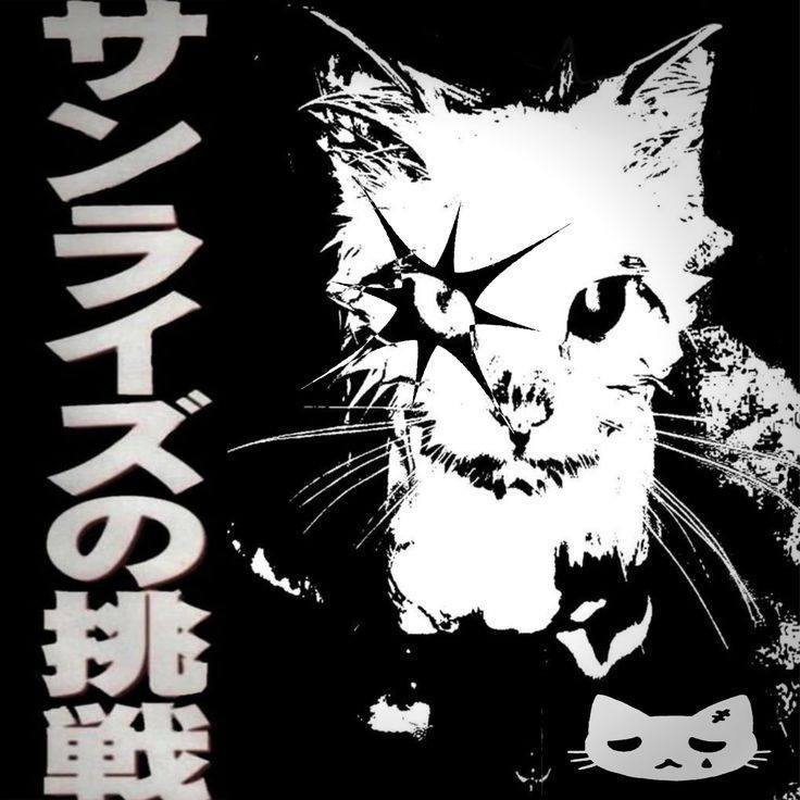 Meowstxr