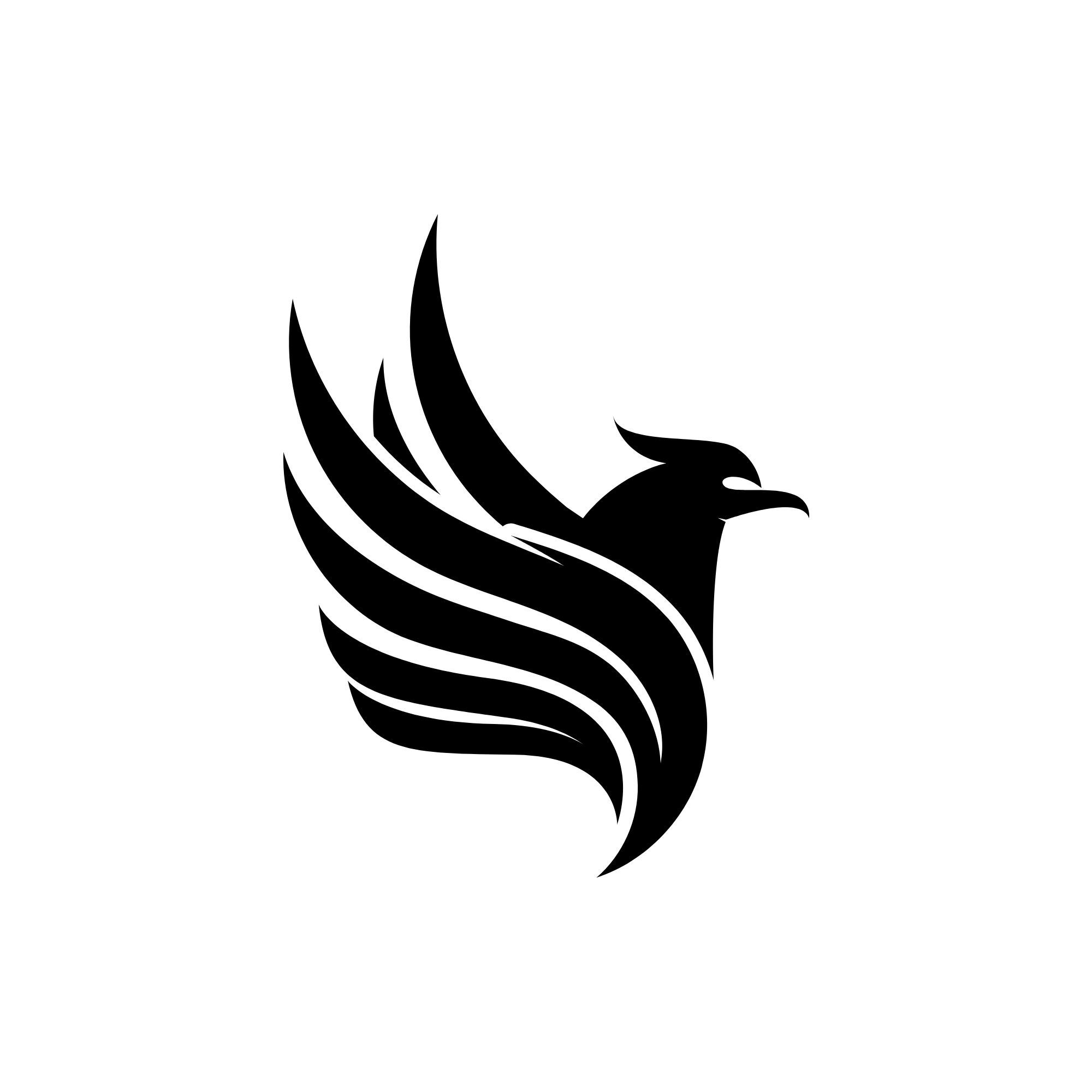 Team Elevate