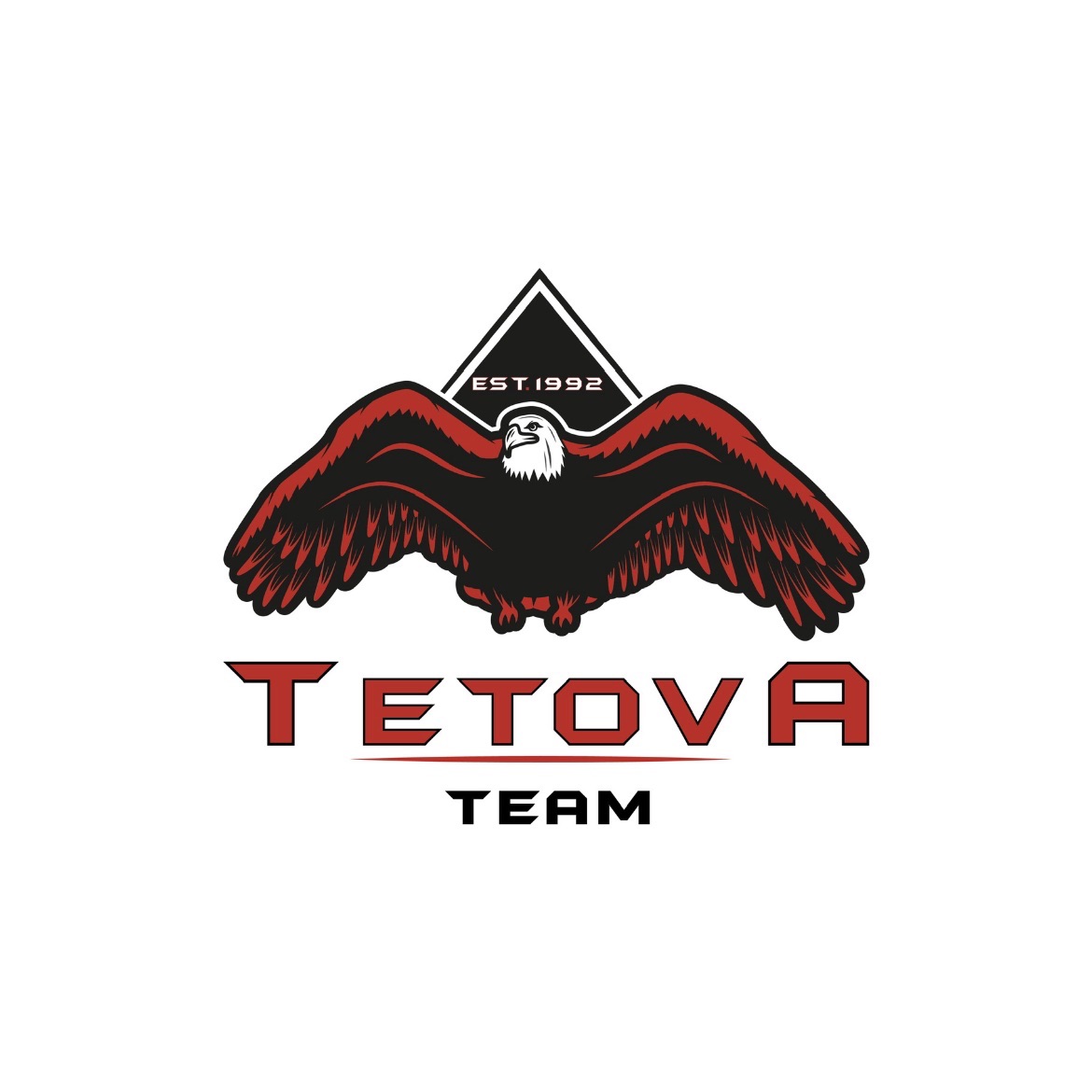 TetovaTeam