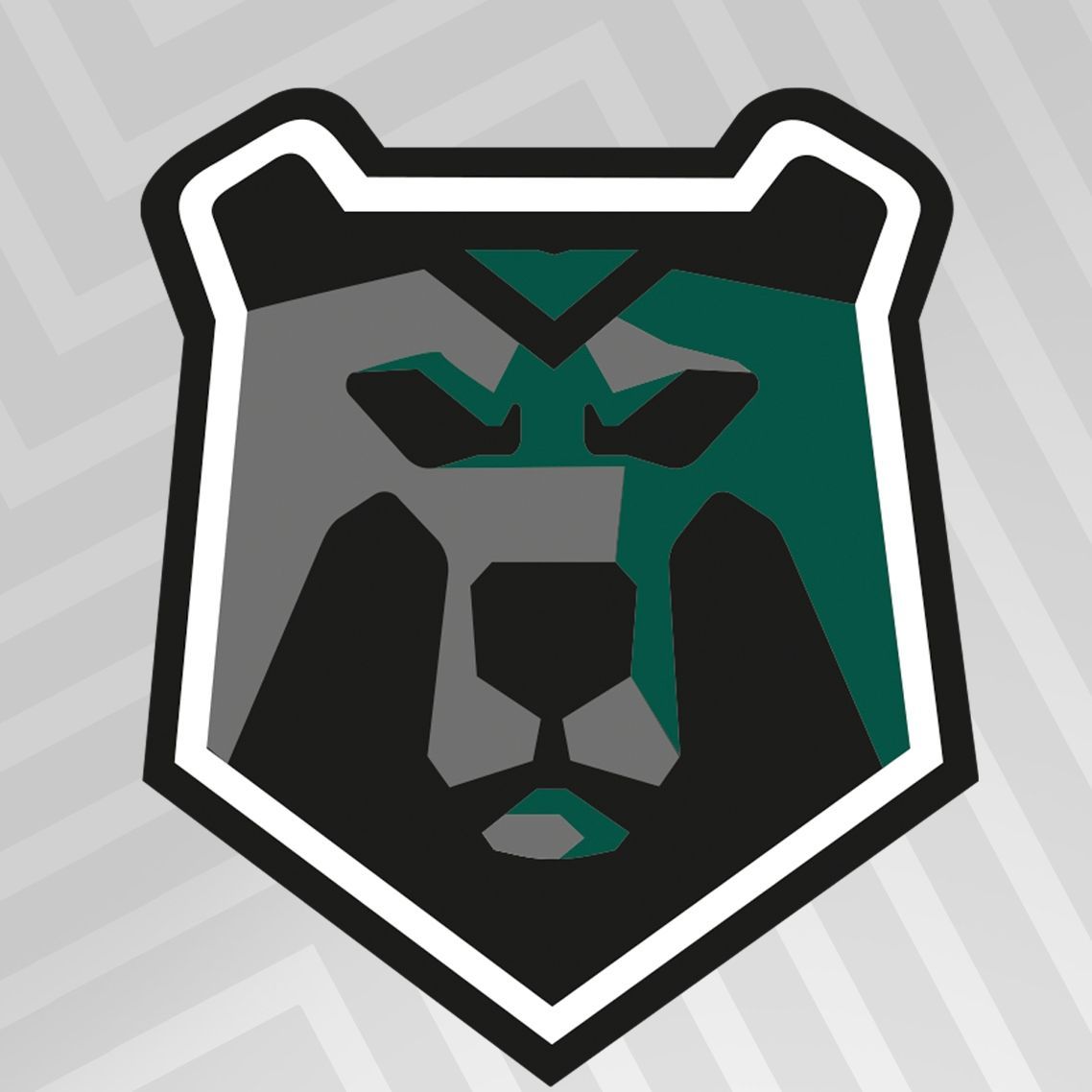 Black Bears