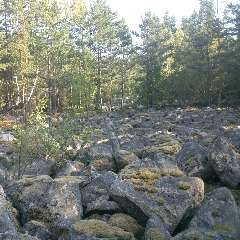 osla