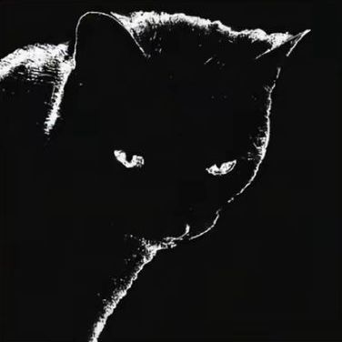zxan-