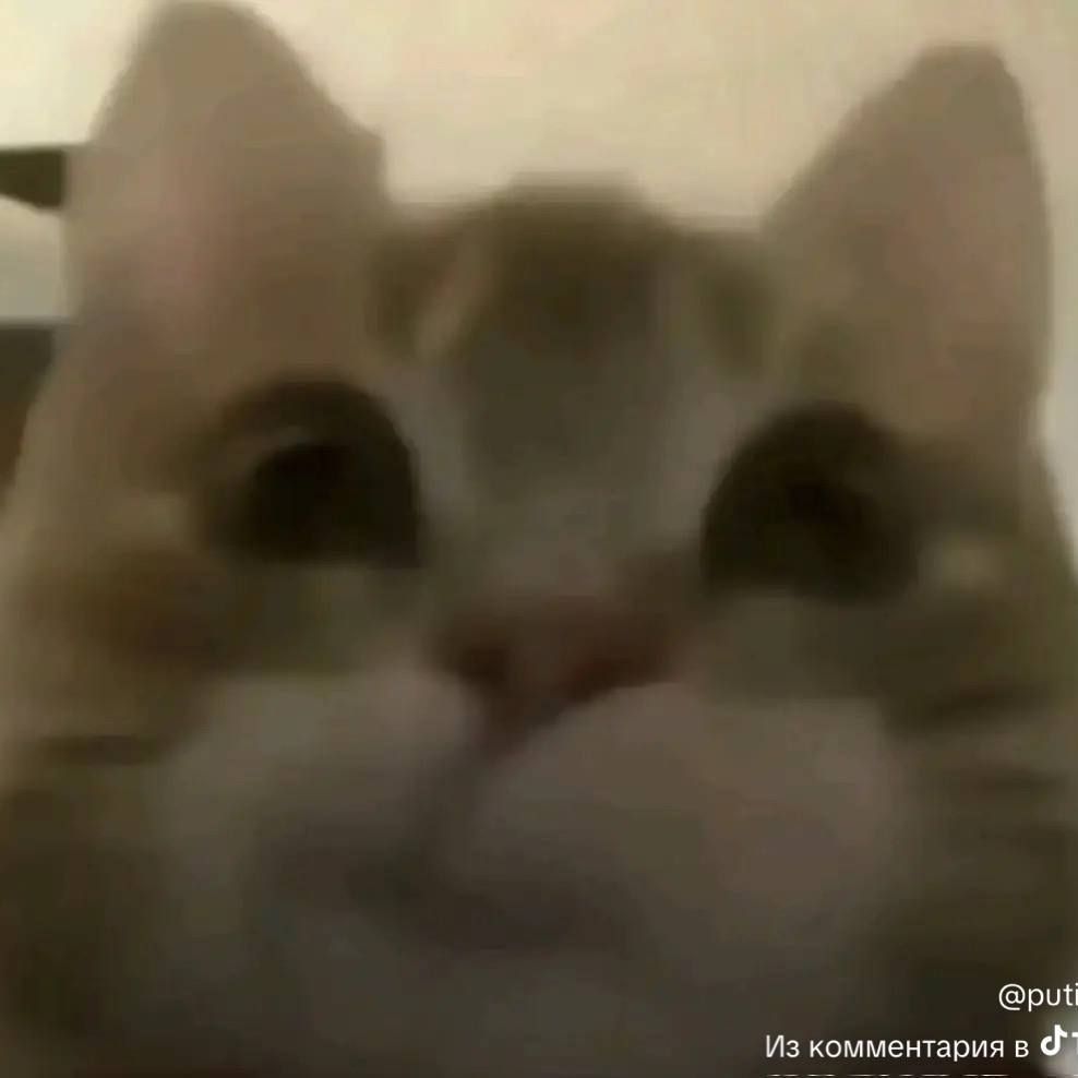 kugato
