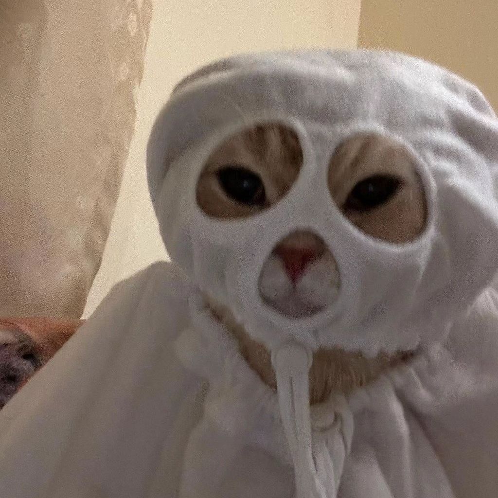 yon