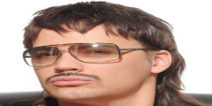 theguy