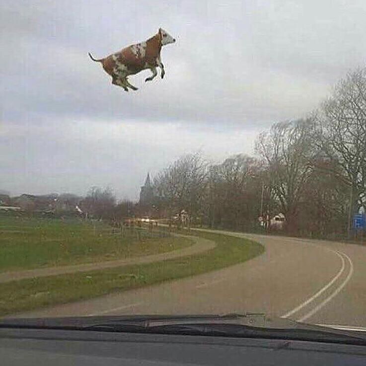 Zaraaaa
