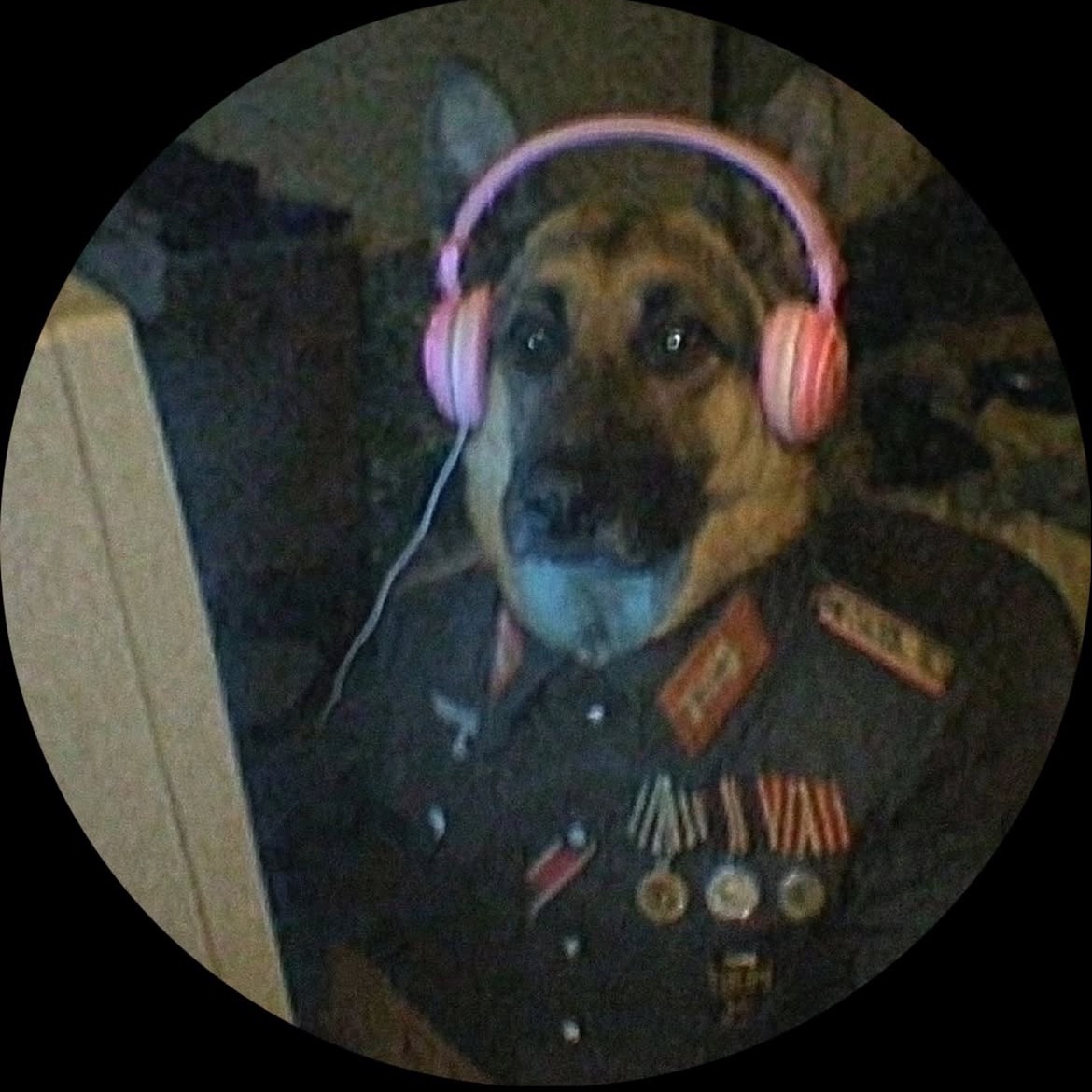 B1g_hurley