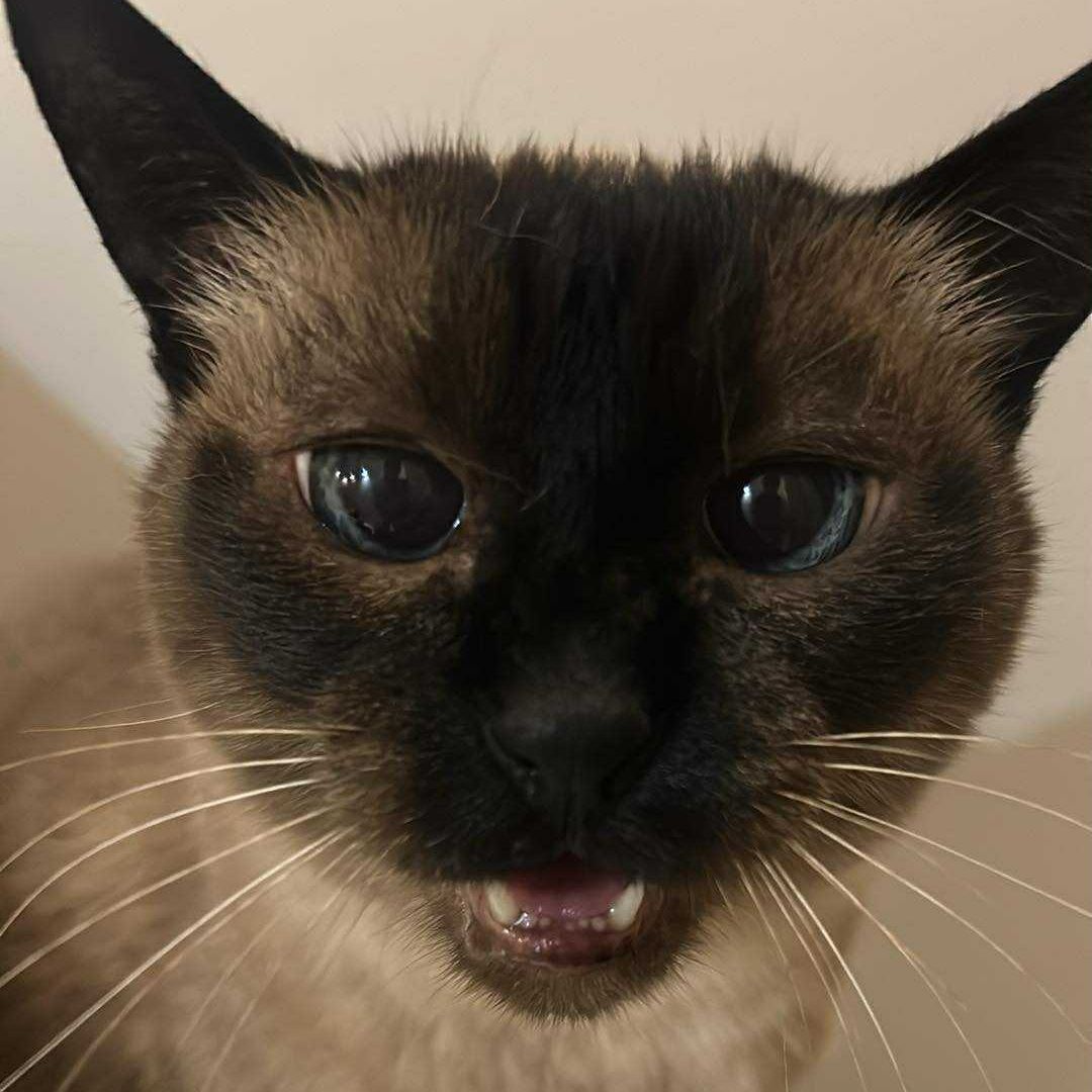 Mloooodyy