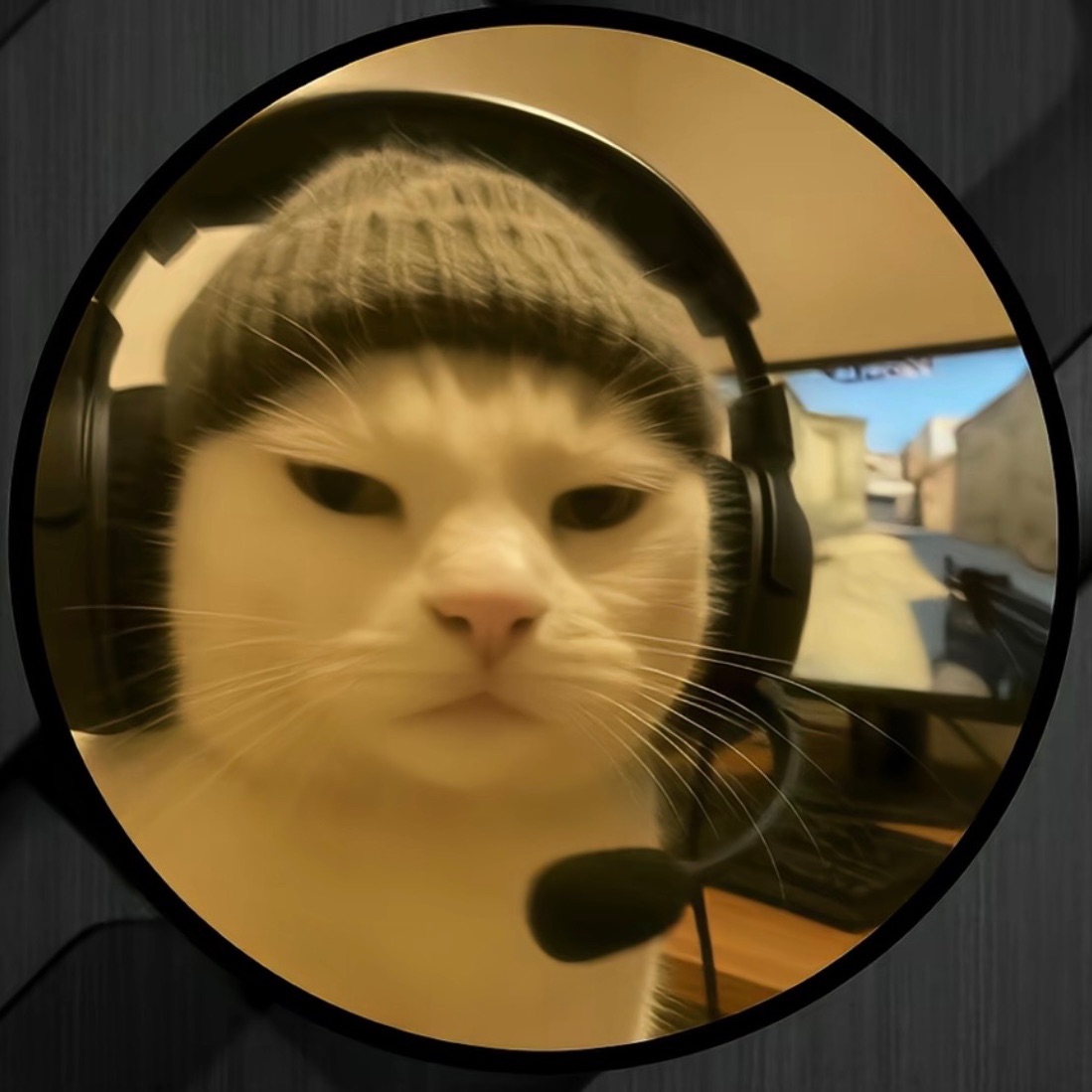 zhegu666