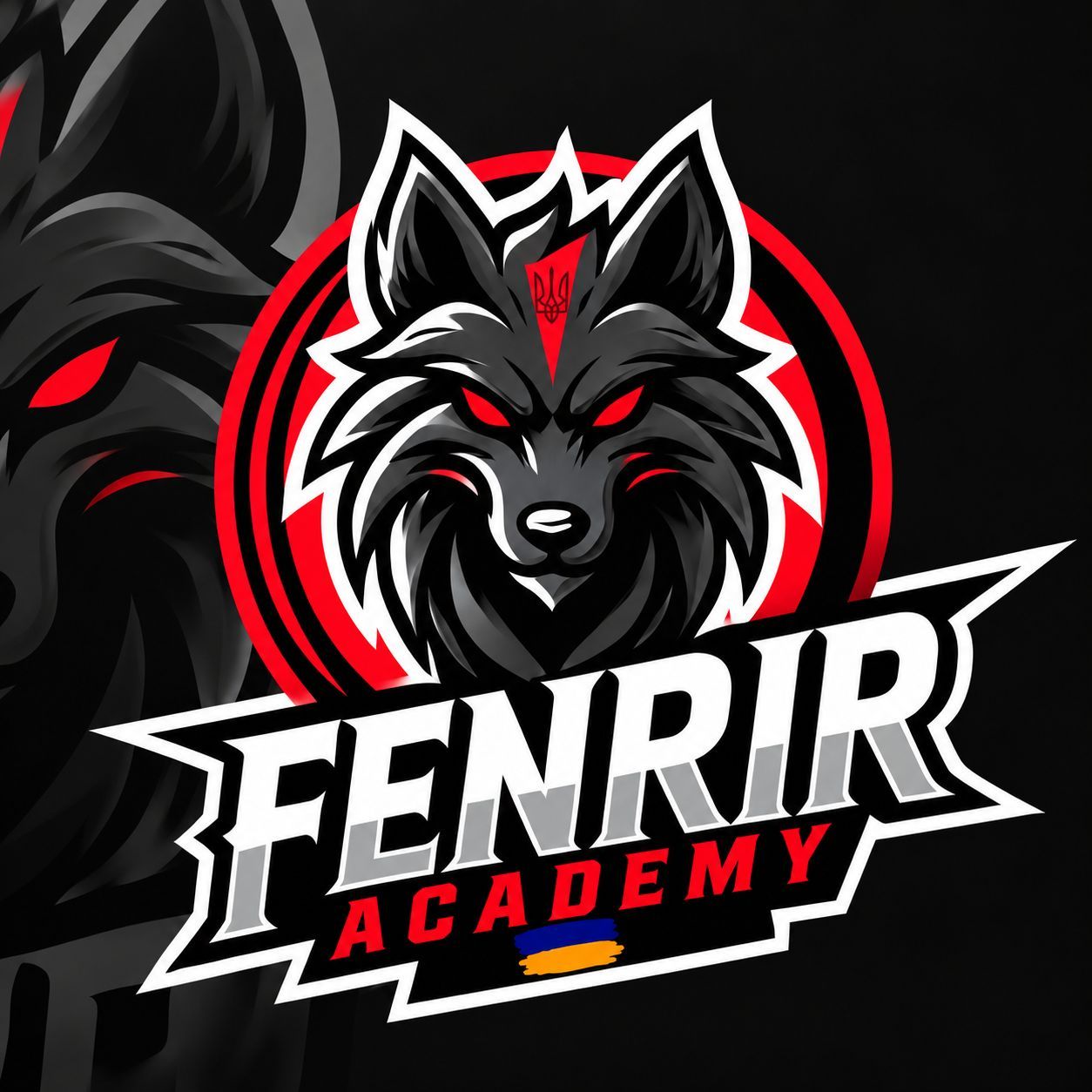 FeNRIR_Academy