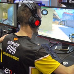 p1pA-