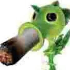 slrJE