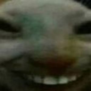 fwbCS