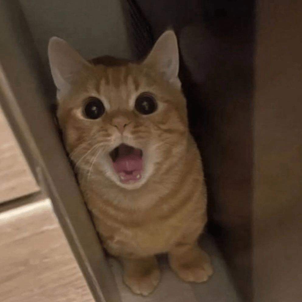 -der