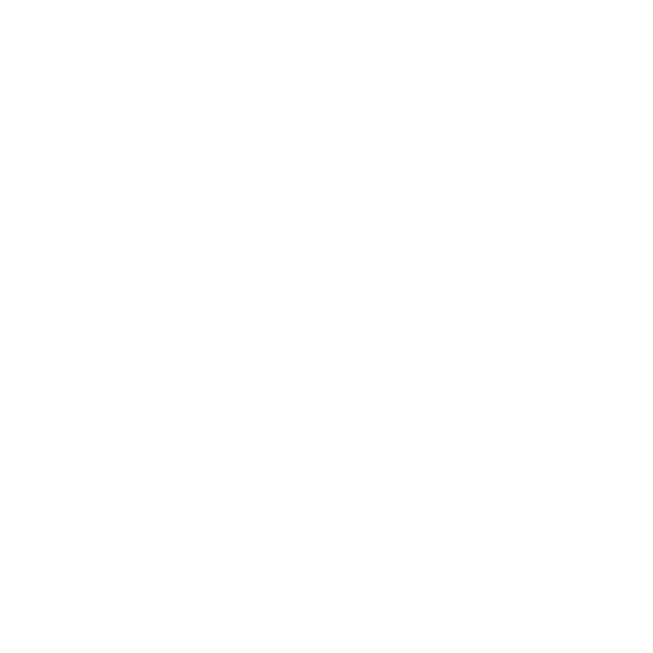 Team LEISURE