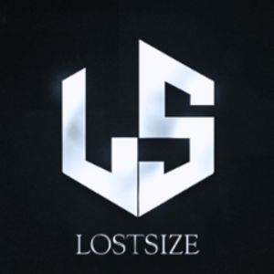team_LostSize