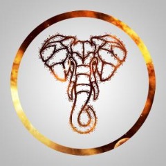 -ElephanT