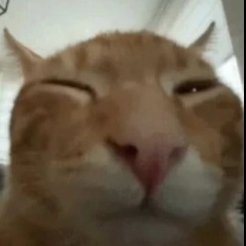 bob_4uka