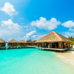 Maldive