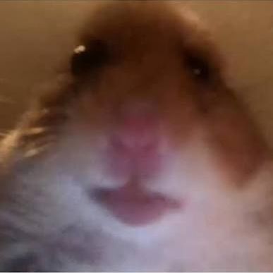 DerGeralt