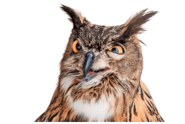 Wackelkontakt