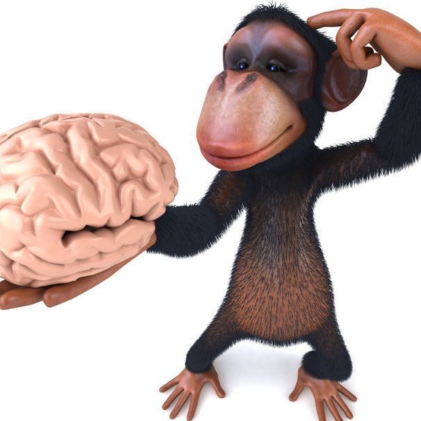 OmuGanganie
