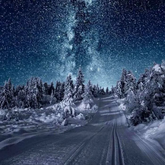 WHITEOUT