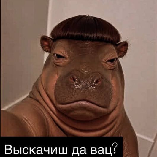 maybewin