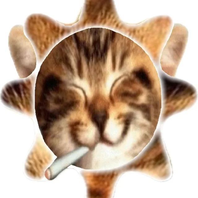 SAY5O