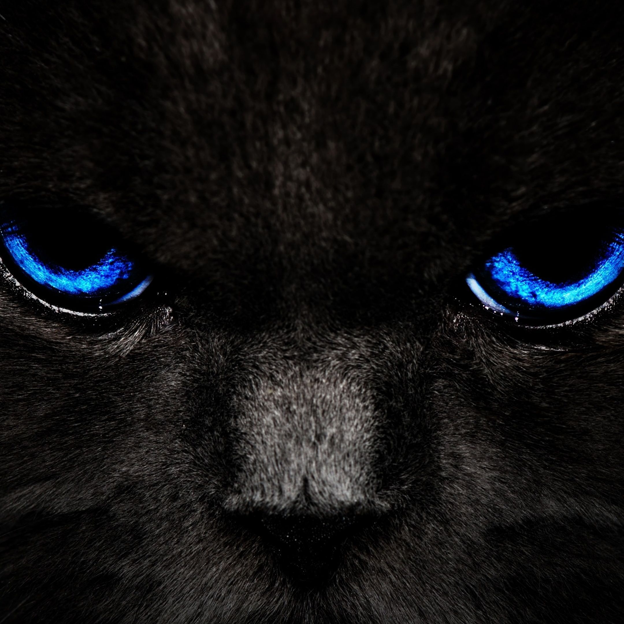 Blu3eye